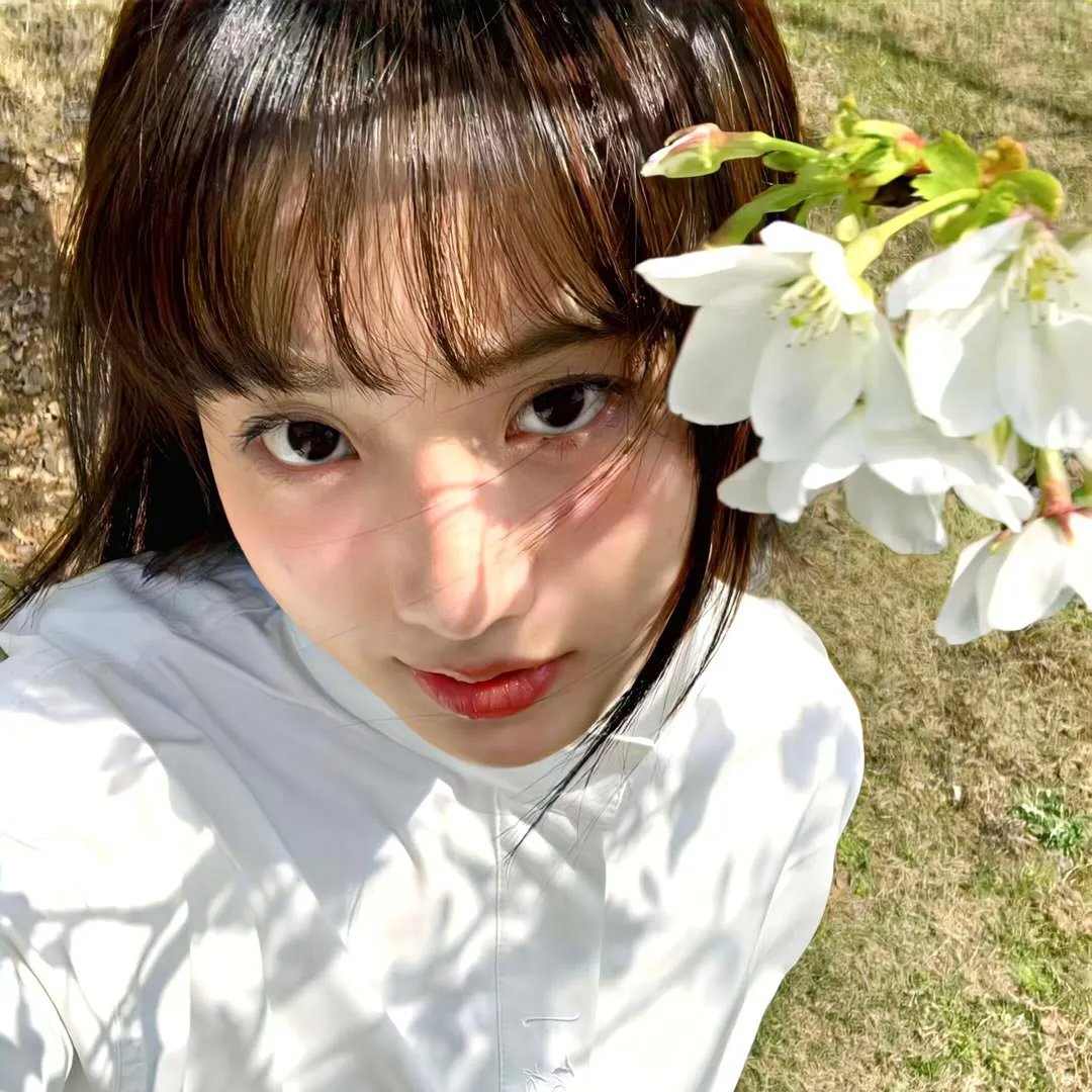 战翼的希格德莉法