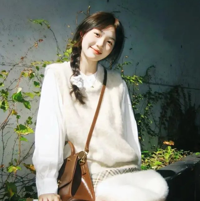 狐妖小红娘日语版